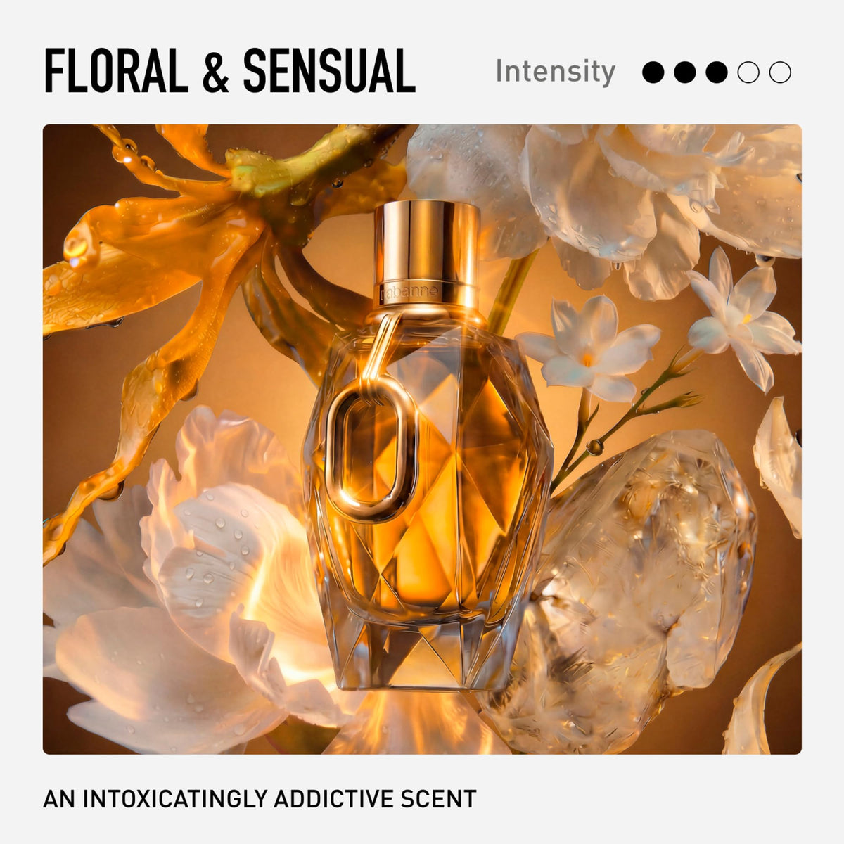 Eau de Parfum for Women C487