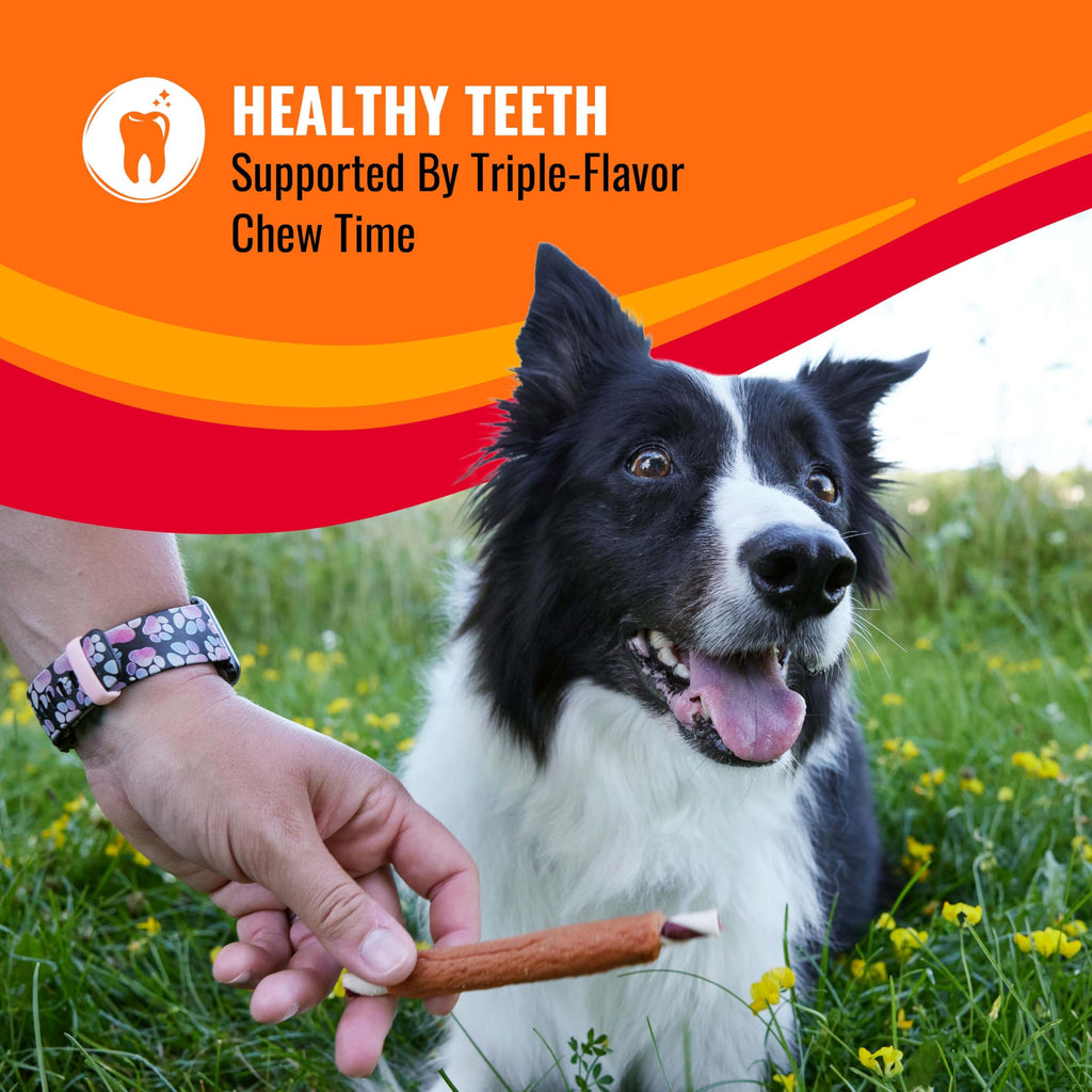 Long-Lasting Dog Treat for Large Dogs, 6 Count E313