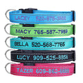 Personalized Dog Collar, 4 Adjustable Sizes Quick Release Buckle and D-Ring K2937