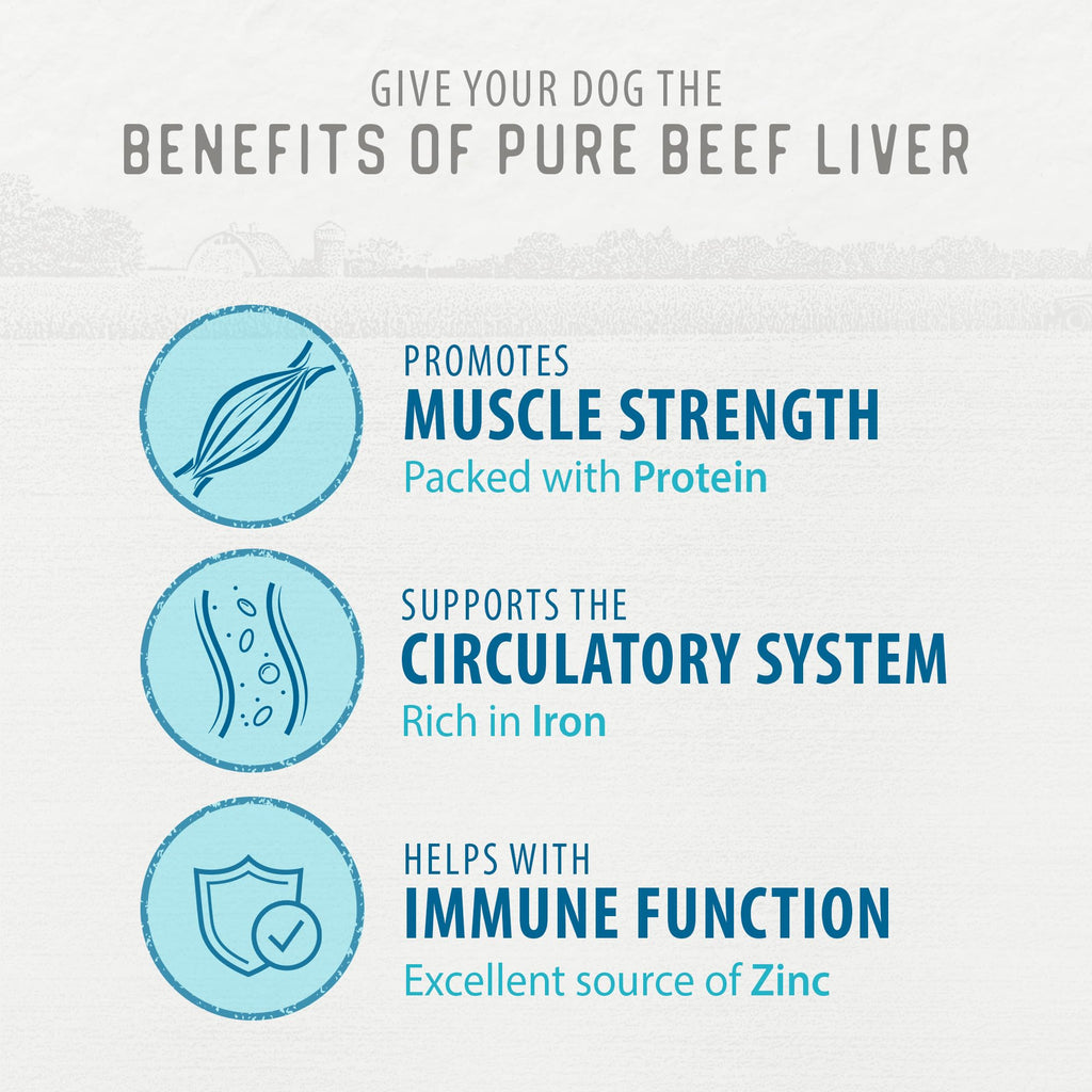 Freeze Dried Beef Liver Dog Treats, 5.3OZ Y670