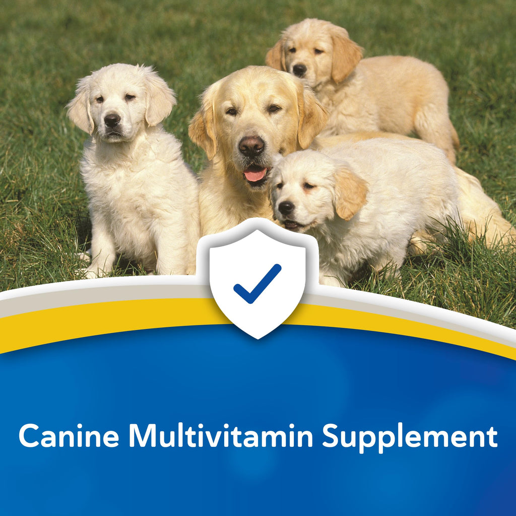 Canine Chewable Multivitamin Tablets 365ct B925