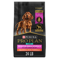 Salmon Puppy Dog Food 24 lb Bag P208777