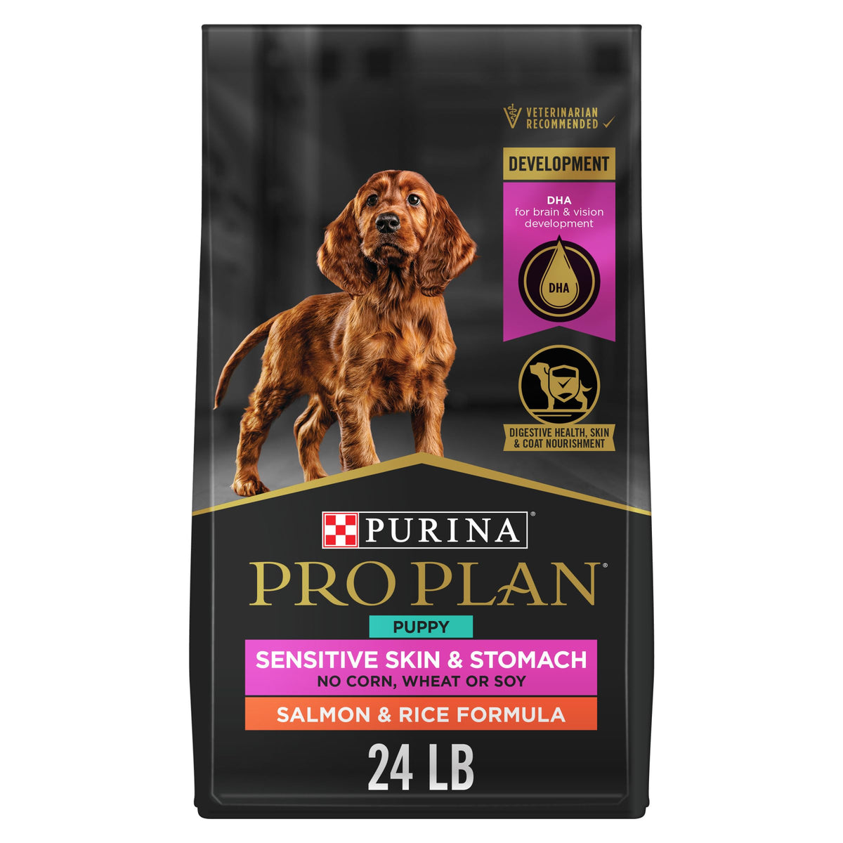 Salmon Puppy Dog Food 24 lb Bag P208777