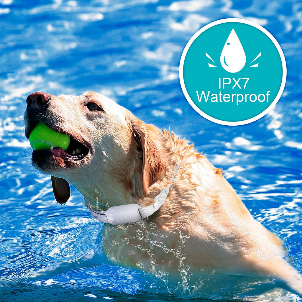 Waterproof Rechargeable Dog Training Collar with Remote H8694