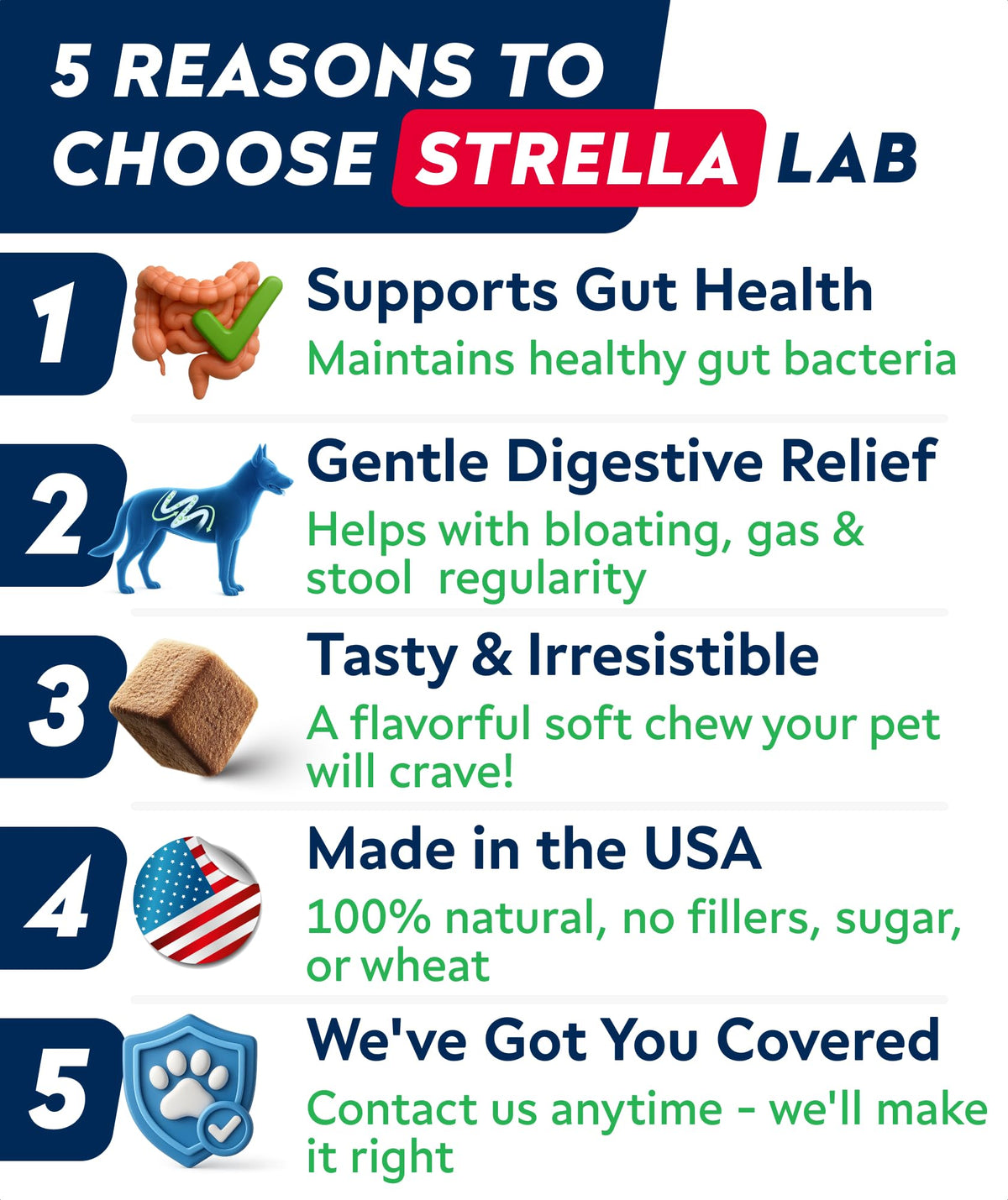 Dog Probiotics with Enzymes and Fiber R17190
