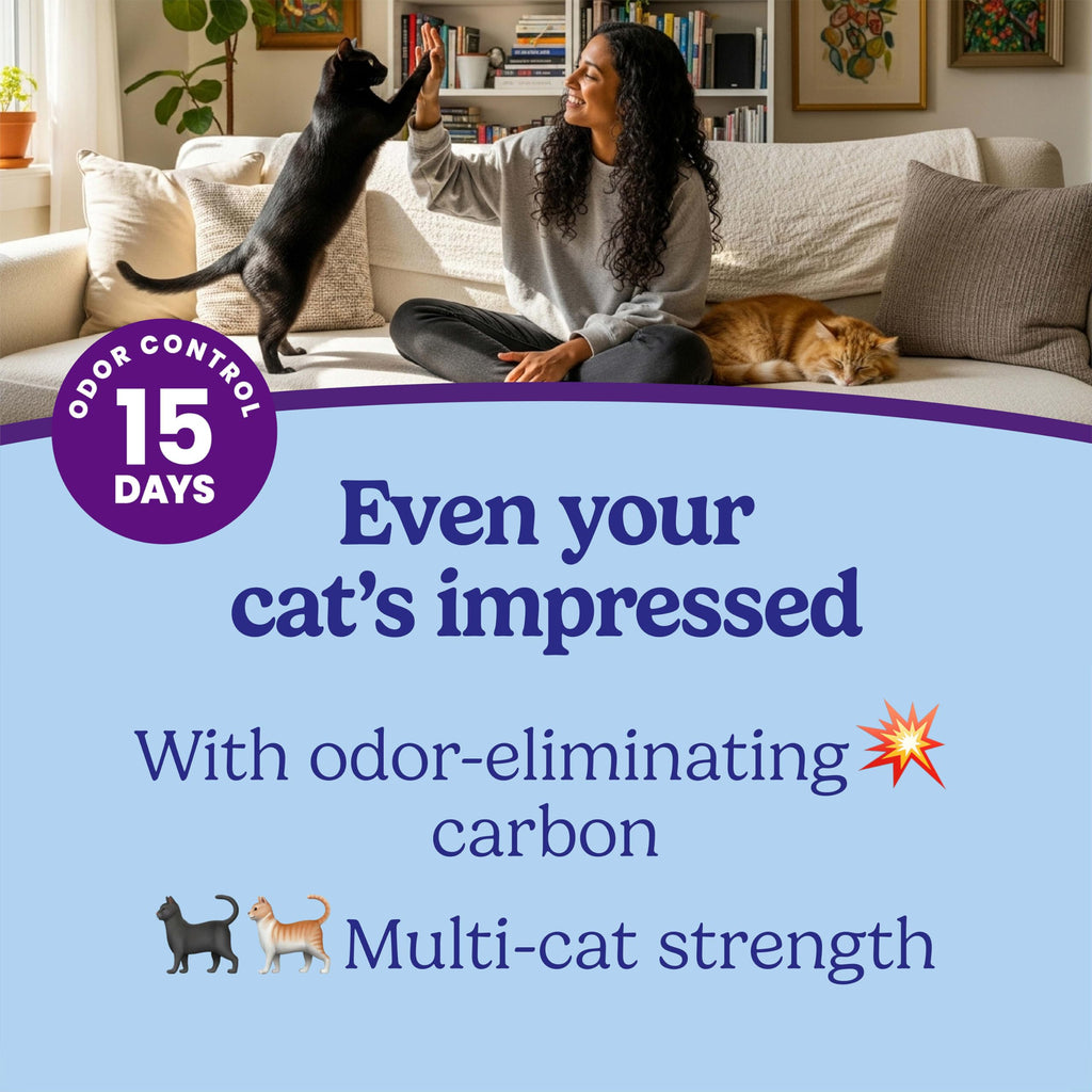 14 lb Clumping Cat Litter O99239