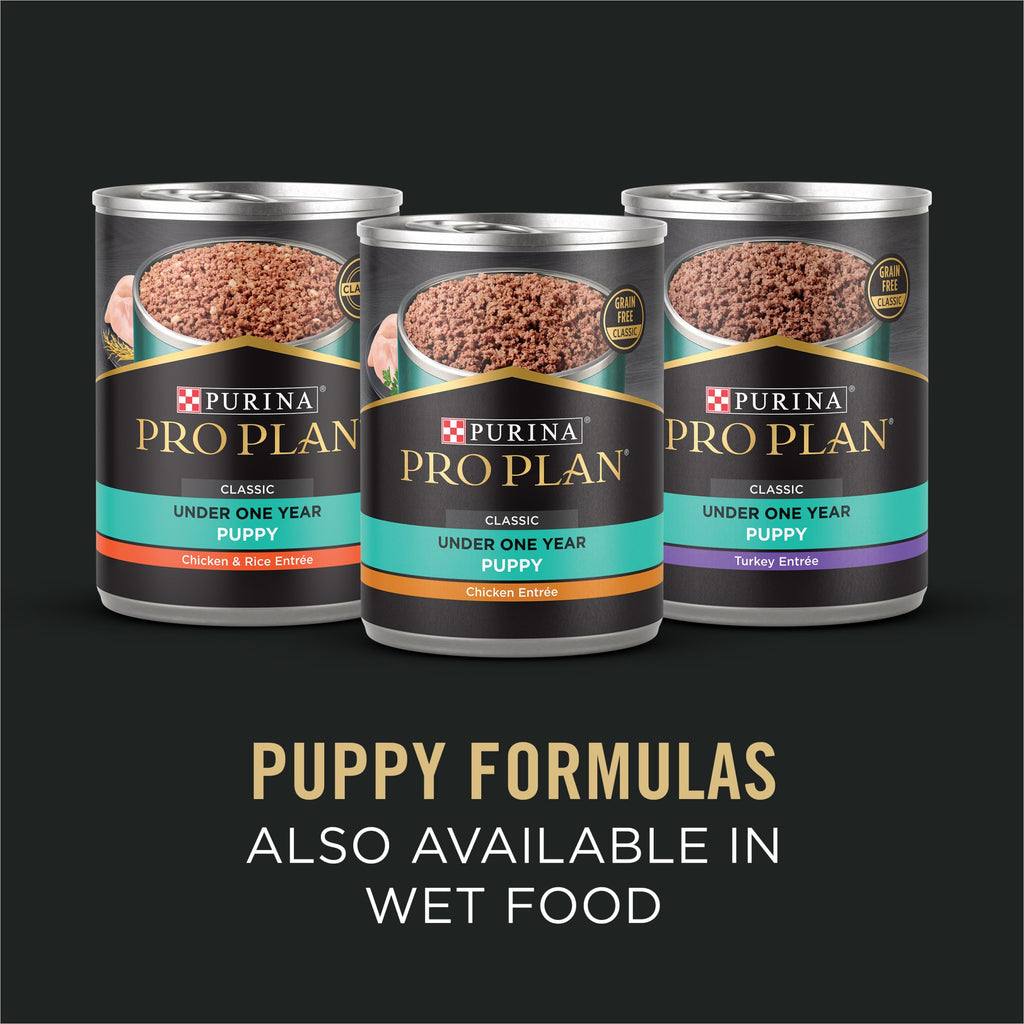 Salmon Puppy Dog Food 24 lb Bag P208777