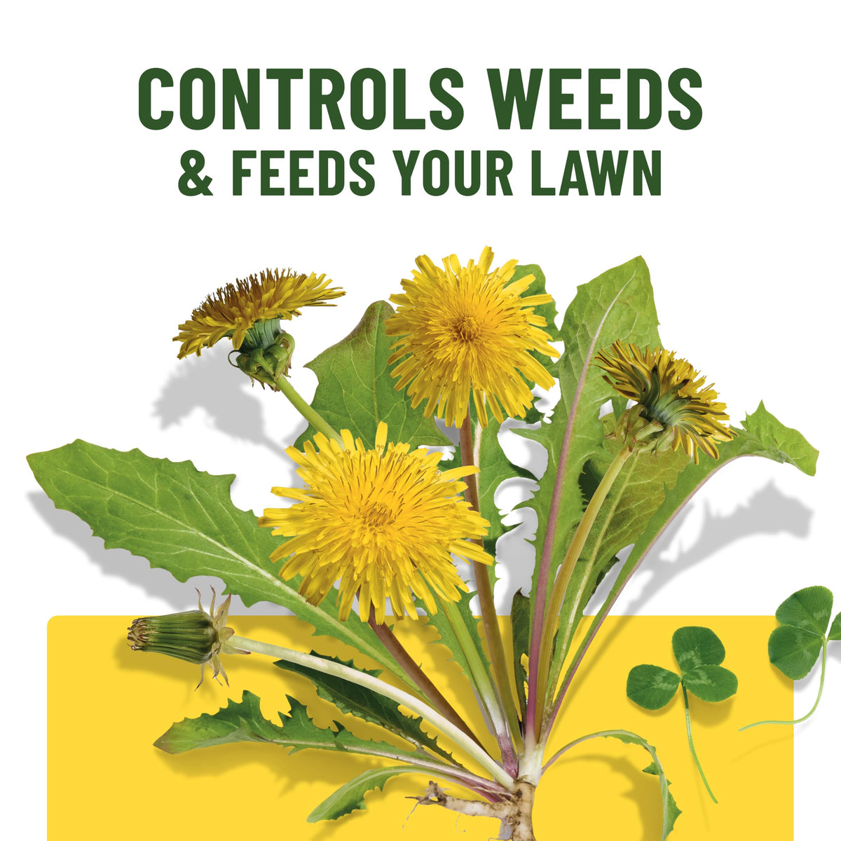 Liquid Lawn Food Plus Weed Control 32 fl. oz. E218