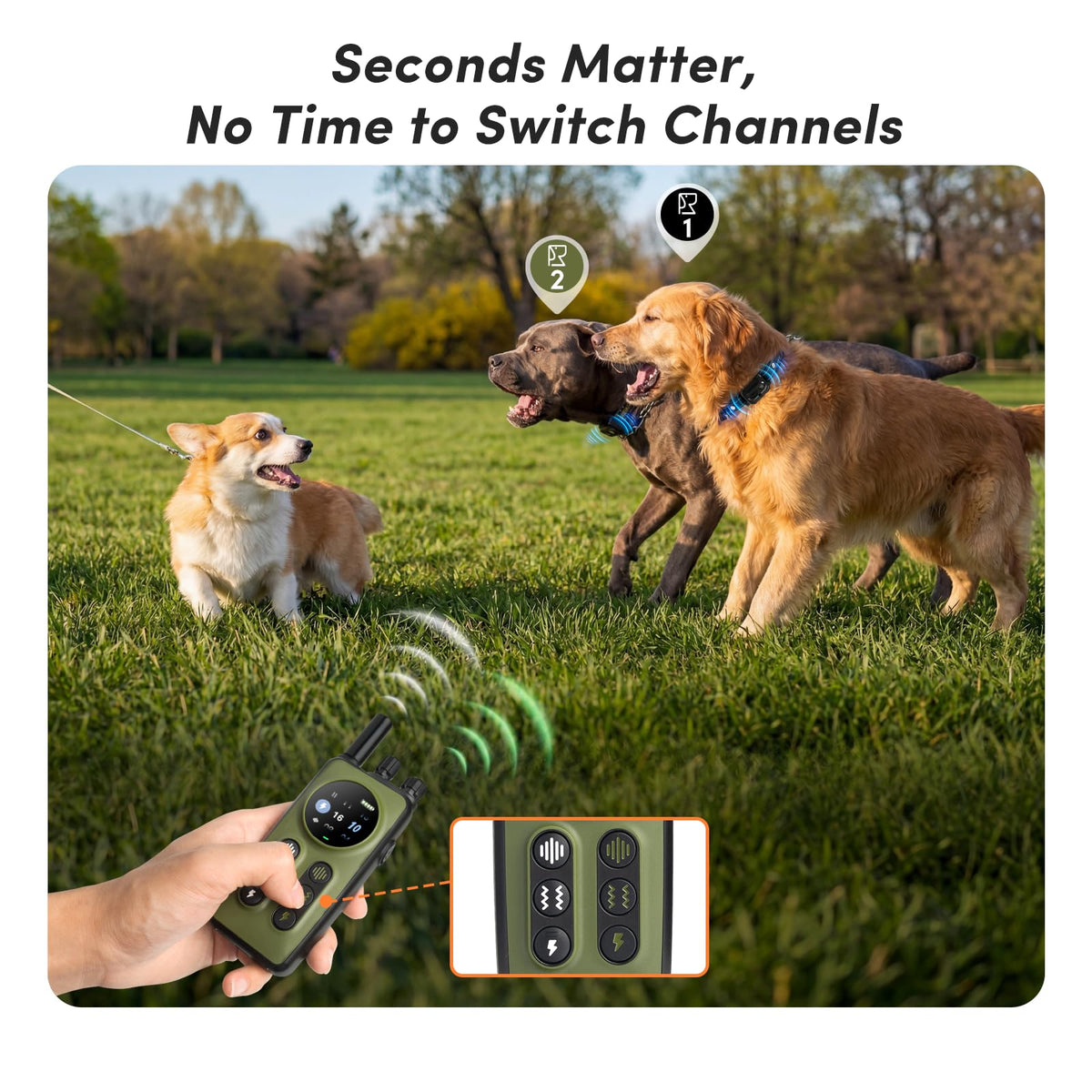 Shock Collar for 2 Dogs, 4 Modes, IPX8 Waterproof Dog Training Collar K941