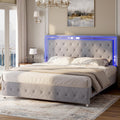 Full Velvet Upholstered Bed Frame with LED Lights Headboard T994
