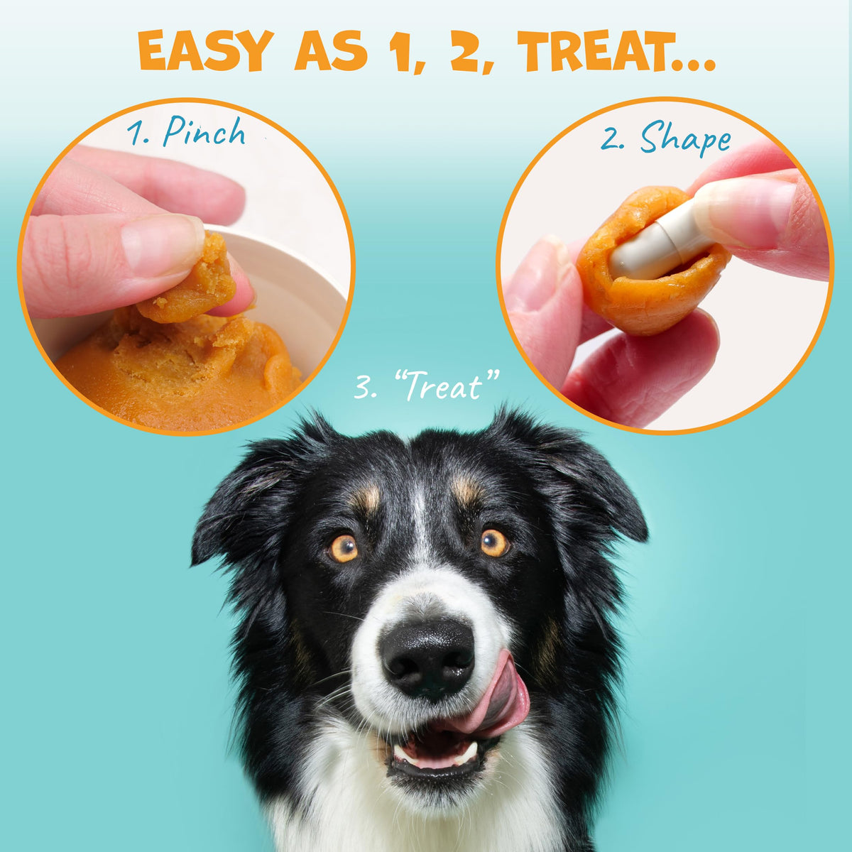 Peanut Butter Pill Wrap for Dogs 4.2oz Y809581