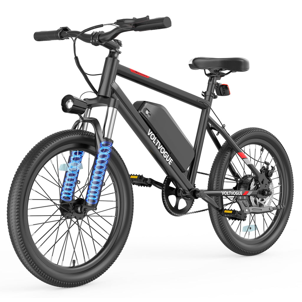 48V 1000W Peak Motor 22 mph 20Inch Fat Tires Electric E-Bike K157