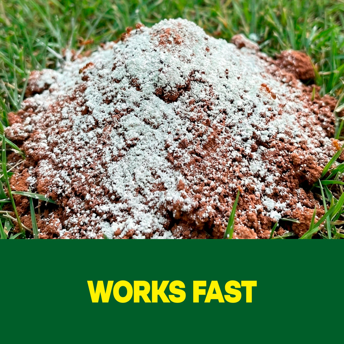 Outdoor Fire Ant Killer Dust 24 oz J1101