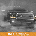 Headlight Assembly N69815