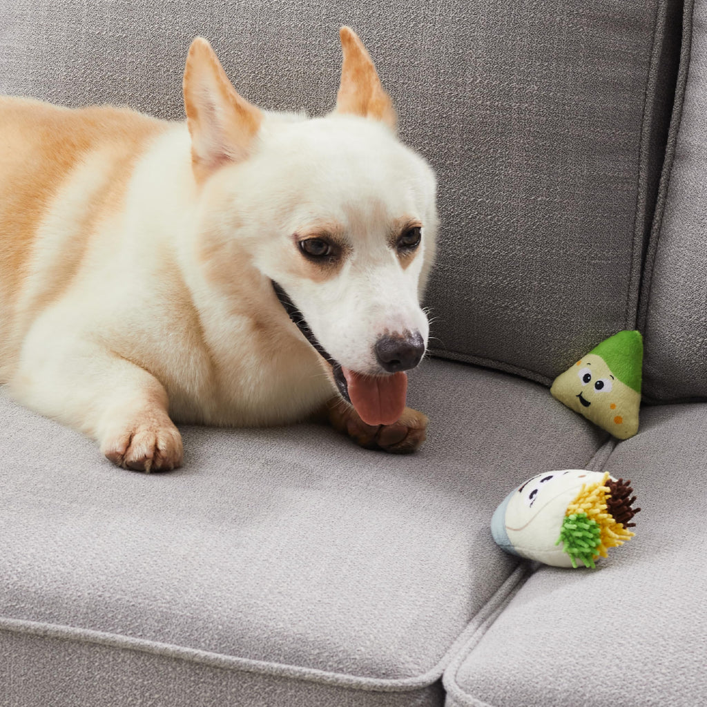 Plush Dog Toy Puzzle A328055