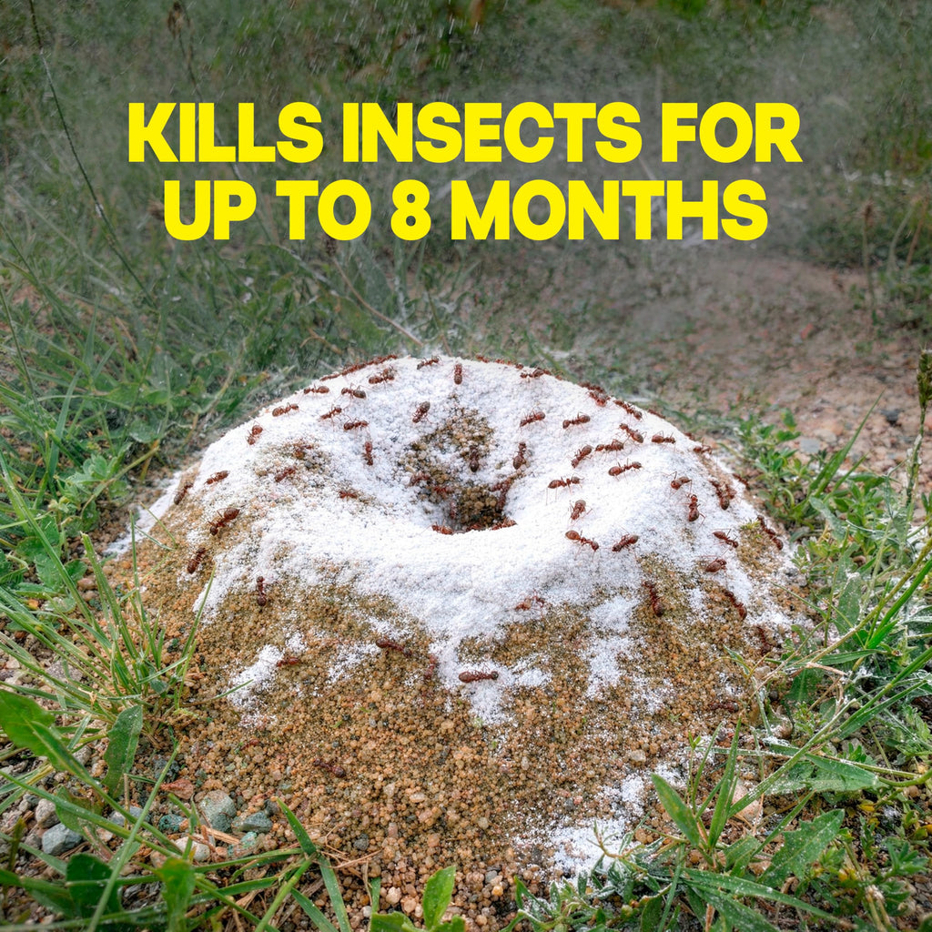 Outdoor Fire Ant Killer Dust 24 oz J1101