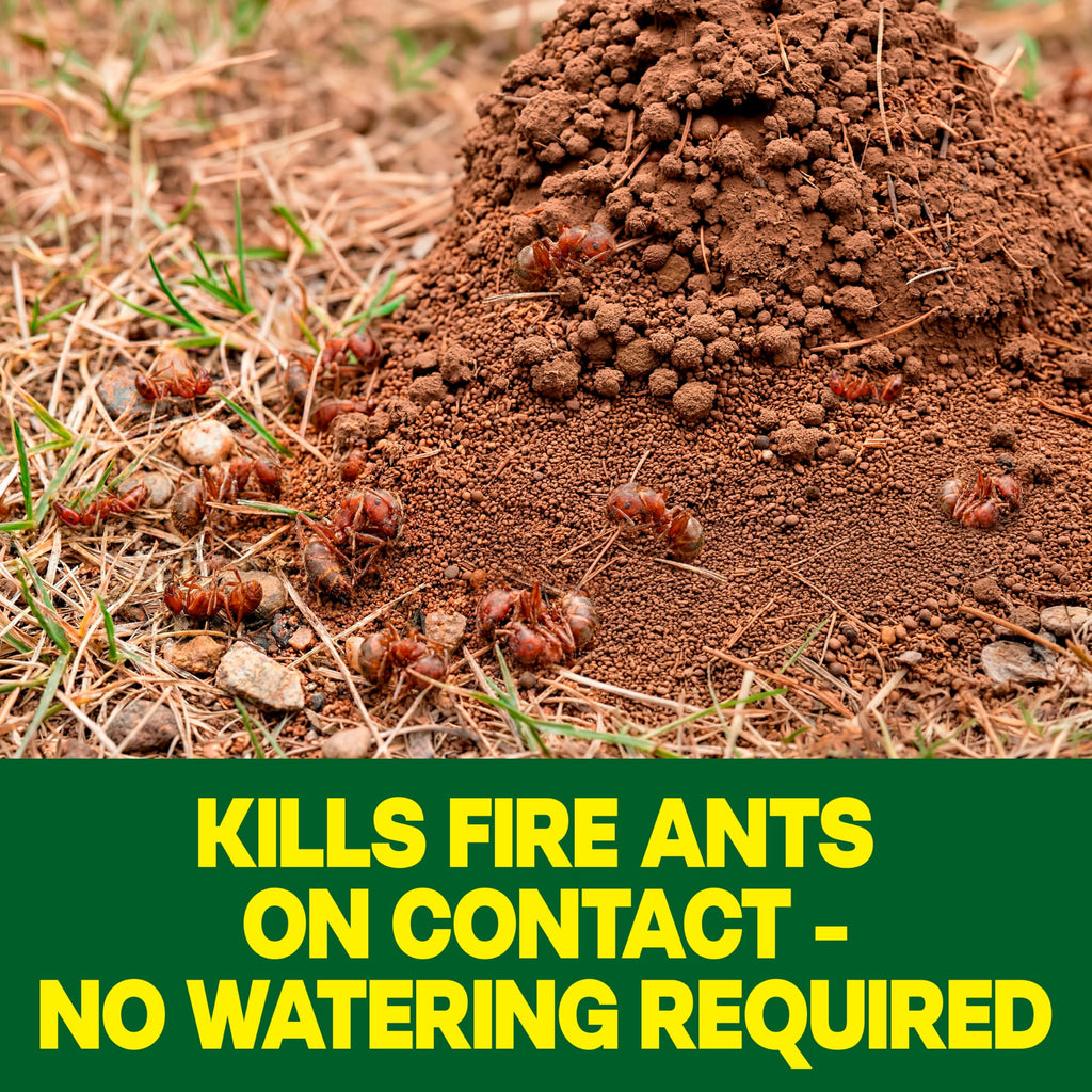 Outdoor Fire Ant Killer Dust 24 oz J1101